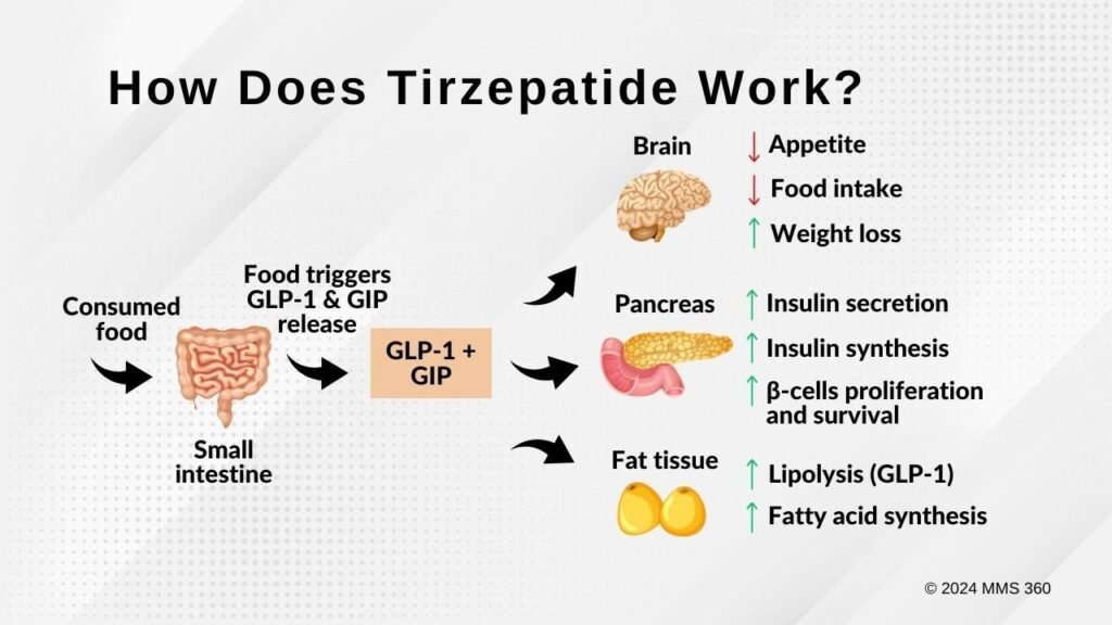 How Does Tirzepatide Work for Weight Loss?